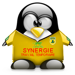 penguin pingouin pinguino 869